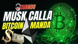 Bitcoin is no longer just money: it's geopolitical power, Elon Musk remains silent