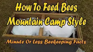 How To Feed Bees Mountain Camp Style/ Minute Or Less Beekeeping Facts