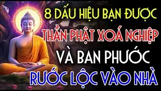 8 DẤU HIỆU: BẠN ĐƯỢC THẦN PHẬT XÓA NGHIỆP VÀ BAN PHƯỚC, ĐỪNG BỎ LỠ | Nhân Tâm Chỉ Lộ