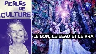 Le bon, le beau et le vrai gr&acirc;ce aux dessins de Projet KO - Perles de Culture n&deg;385 - TVL