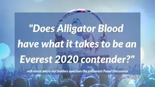 Snippet Should Alligator Blood run in the 2020 TAB Everest