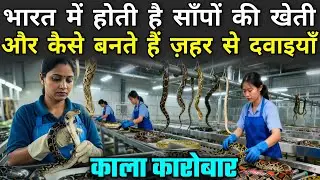 भारत में होती है साँपों की खेती और कैसे बनते हैं ज़हर से दवाइयाँ | Snake Farming In India