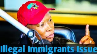 EFF President Julius Malema Asnwering Questions About Open Border Policy & Illegal Immigrants