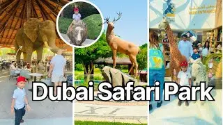 Dubai Safari Park Tour | Full Experience with Wild Animals & Nature!