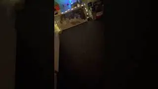 Set up batoons play area up with me ! #viralvideo #hammy #cute #love#justforfun