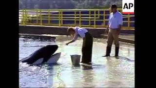 VOICED Whale star of 