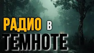 Что слышно в темном лесу?