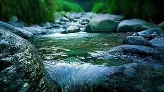 🌊 Gentle River Corridor ASMR Sounds for Deep Sleep, Relaxation & Calm Mind