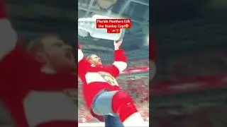 Florida Panthers WIN the Stanley Cup! NHL Game😮🏒🏆🇺🇸👍 #shorts #gaming