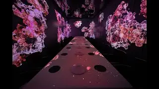 The X Pot | Most Luxurious, High-Tech Hot Pot Experience in Las Vegas | Premium A5 Wagyu Beef