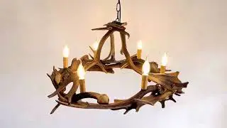 Real Fallow Deer Antler Chandelier for 6 Lights