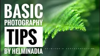 Basic Photography Tips by Helminadia