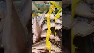 FISH! FISH! IT'S A FISH. KOREAS FAVORITE FISH 