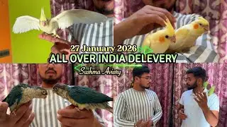 2 Hafte Baad New Video 😢 Seller House Visit | Baby Birds Care & Update | Parrot Sachin