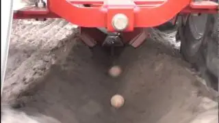 Goldor Bait - solution for wireworm