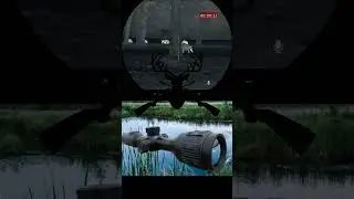 #thermaldynamics &ldquo;This thermal imaging scope can clearly capture targets even at night.&rdquo;