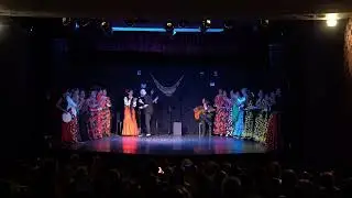 VILLANCICO NAVIDEÑO FLAMENCO