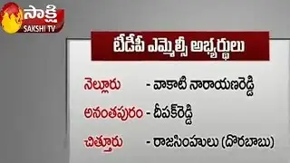 TDP Announces Names for Mlc Elections