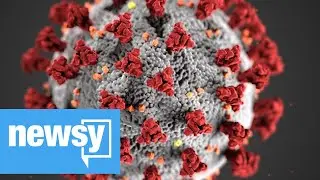 A Lab-Created Antibody Could Be First To Beat COVID-19