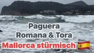 Mallorca Stürmisch 🌊 Paguera 🩵 La Romana & Tora Strand 🌴hohe Wellen & Regen ☔️ 12° gefühlt 5° 🌧️ 