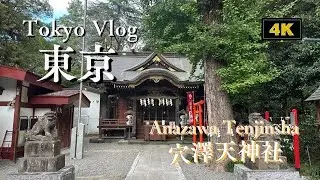 Hidden Forest Shrine in Tokyo Area: A Deeply Relaxing Walk (Anazawa Tenjin) 🌳 木々に囲まれた癒やし空間 穴澤天神社の静寂