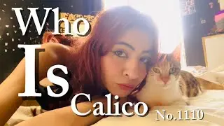 Who is calico no.1110 #catvideos #catbehavior #catlovers #cat #calico #catvlog #catlife #animals 