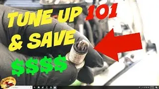 Basic Tune-Up 