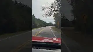 BEAUTIFUL DAY FOR A DRIVE, MONTICELLO, FL🛻 #video #videos