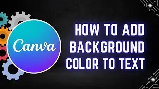 How to Add a Background Color to Text in Canva (2 Easy Methods)