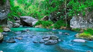 12H Immersive River Ambience &ndash; Nature Sounds for Deep Sleep & Meditation