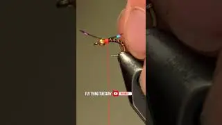 Radiation Baetis Variation | Fly Tying Shorts | #nymphfishing  #FlyFishing  #FlyTyingTutorial