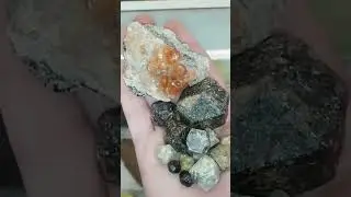 Garnet Crystals Form In ALMOST Every Color. Almost! #garnet #gems #gemstone #crystals #mining #rocks
