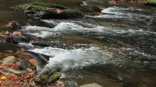 River 44 - In description how to put the video in loop