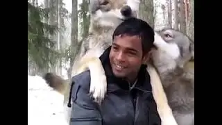 Animals Hugging Humans