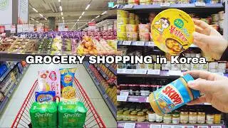 Grocery Shopping in Korea | Winter Stock | Supermarket Food with Prices | Shopping in Korea