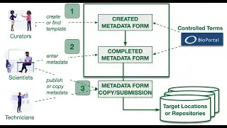 Making Metadata with CEDAR