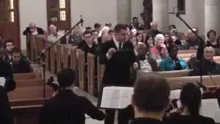 David Gompper - An Elm We Lost