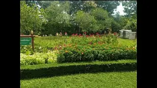 Exploring the natural beauty of Queen Sirikit Park Bangkok