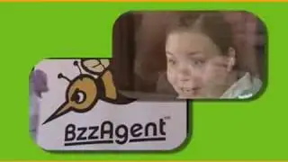 BzzAgent Overview