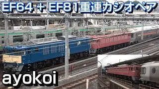 さよならE26系カシオペア EF64+EF81重連 ラストラン