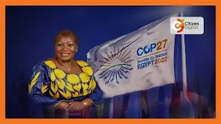 Kenyan director at COP 27