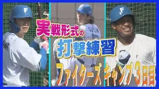 1軍選手ら“実戦形式”の打撃練習に臨む　万波選手「動けている自信もある」ファイターズ沖縄キャンプ