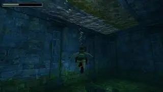 Tomb Raider I-III Remastered - Tomb of Tihocan (PS5) - underwater texture issue
