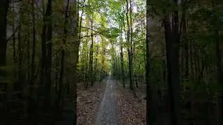 Secret path