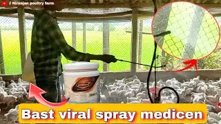Viral disease ka new best spray medicine | use in poultry farm🤩