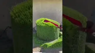 Poda Perfecta de Seto