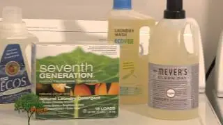 HouseSmarts Green Piece 