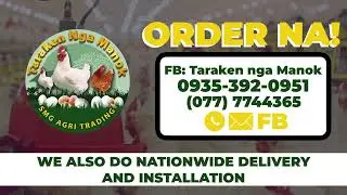 Paitlogan, RTL Chicken and cages supplier nationwide.