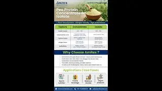Pea Protein Concentrate vs Isolate | Benefits, Applications & Why Choose Amitex