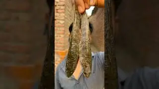 Mini fish fry Tawa #shortvideos #food #cooking #recipe